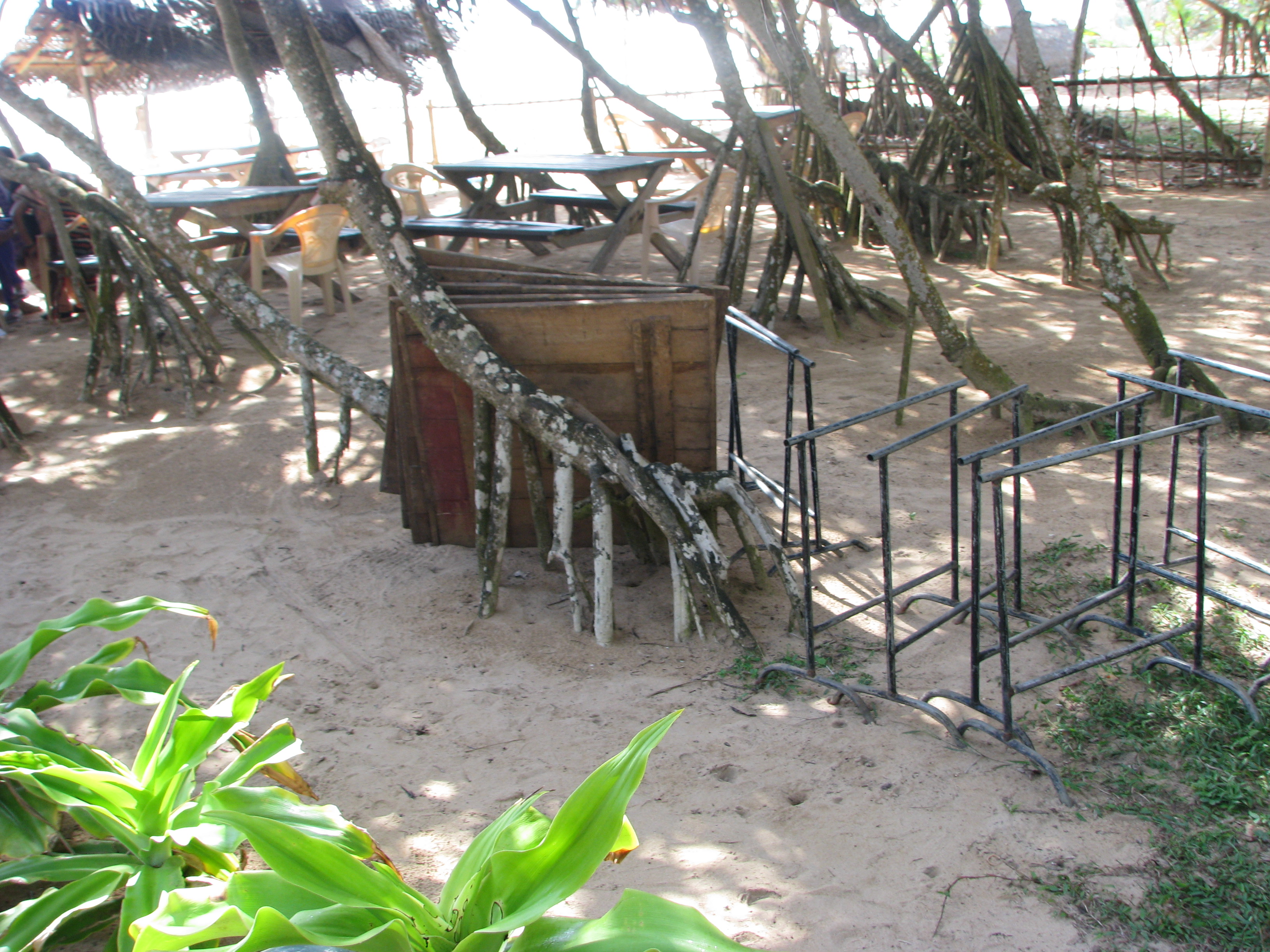 IMG 9640